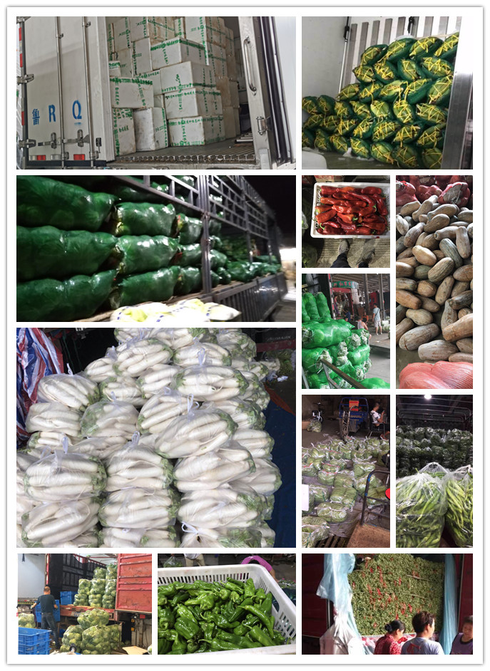 鉴黑担保网(jhdbw)·最具权威唯一维权担保平台