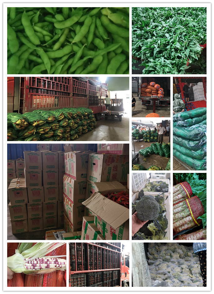 鉴黑担保网(jhdbw)·最具权威唯一维权担保平台