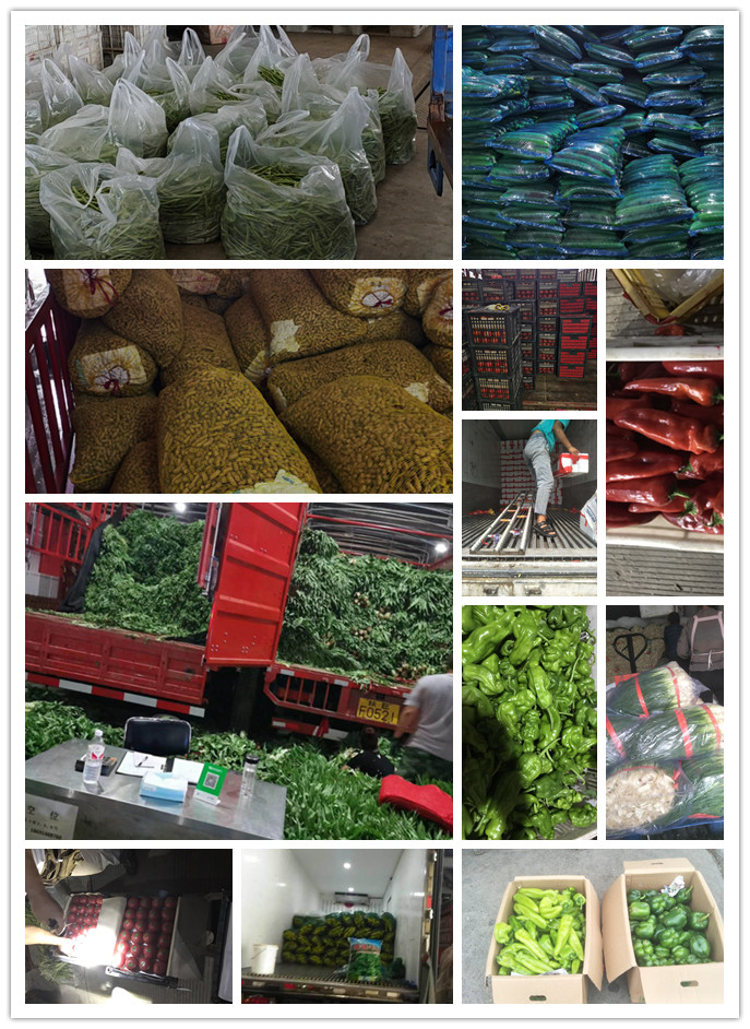 鉴黑担保网(jhdbw)·最具权威唯一维权担保平台