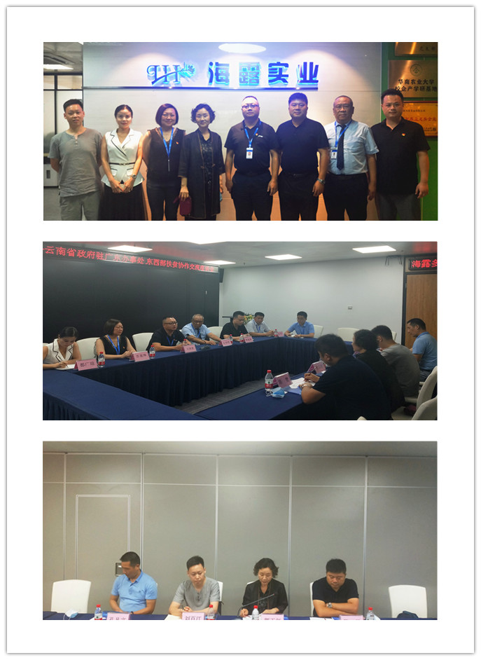 鉴黑担保网(jhdbw)·最具权威唯一维权担保平台