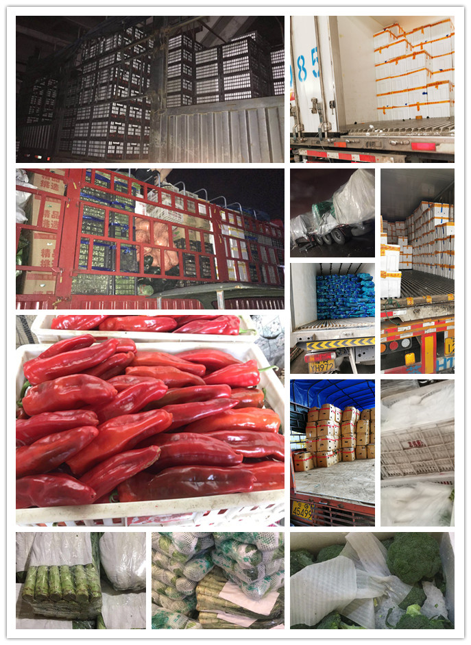 鉴黑担保网(jhdbw)·最具权威唯一维权担保平台