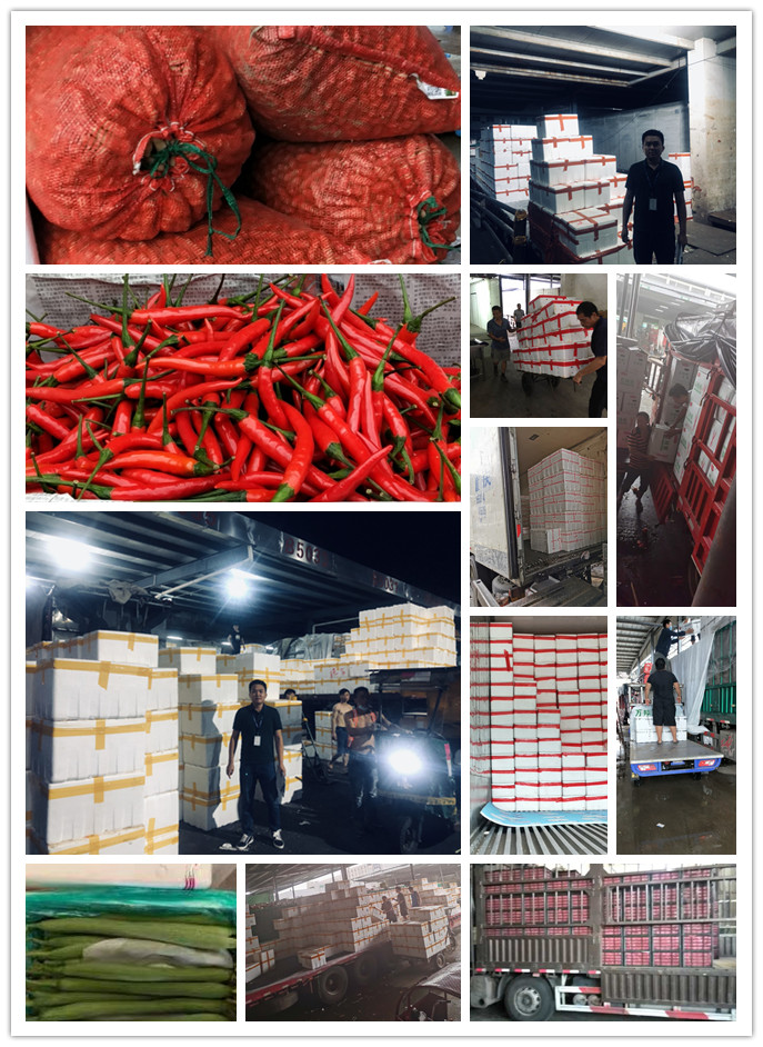 鉴黑担保网(jhdbw)·最具权威唯一维权担保平台