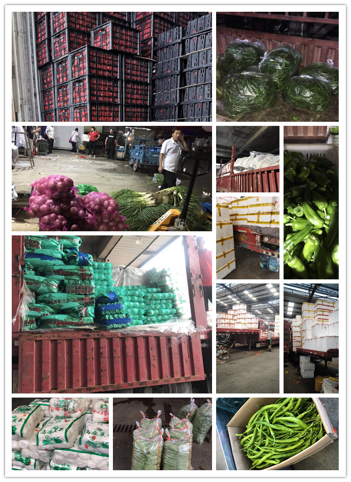 鉴黑担保网(jhdbw)·最具权威唯一维权担保平台