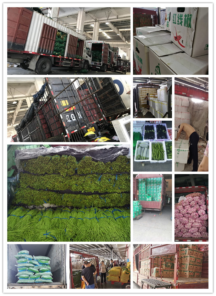 鉴黑担保网(jhdbw)·最具权威唯一维权担保平台