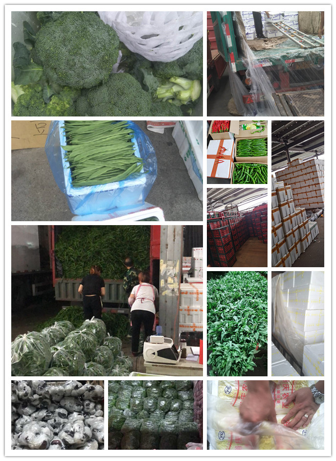 鉴黑担保网(jhdbw)·最具权威唯一维权担保平台