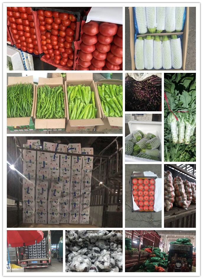 鉴黑担保网(jhdbw)·最具权威唯一维权担保平台