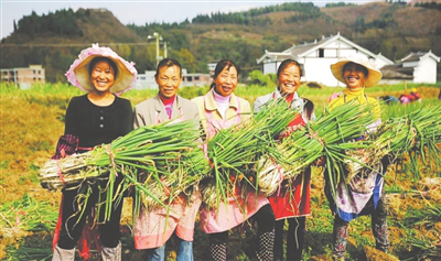 鉴黑担保网(jhdbw)·最具权威唯一维权担保平台