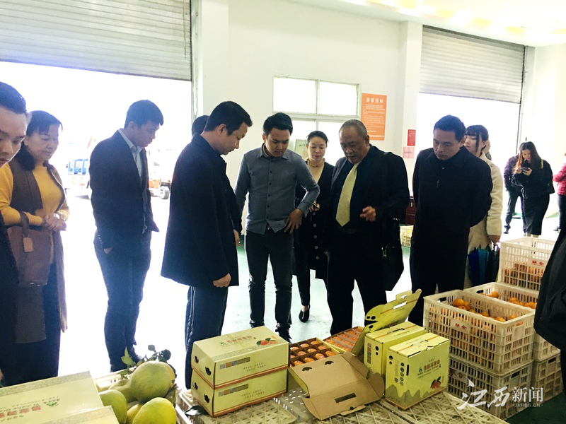 鉴黑担保网(jhdbw)·最具权威唯一维权担保平台