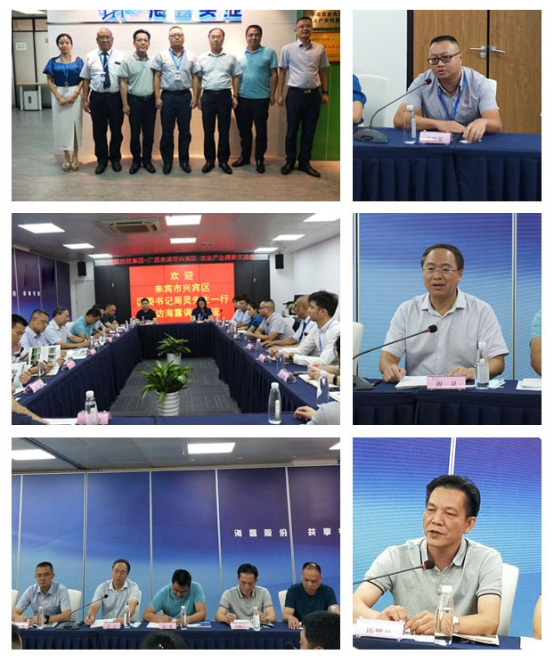 鉴黑担保网(jhdbw)·最具权威唯一维权担保平台