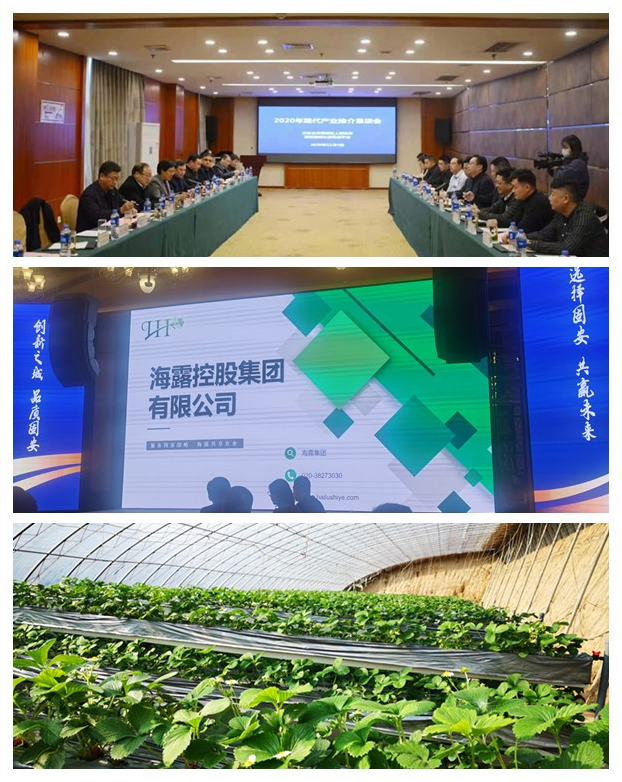 鉴黑担保网(jhdbw)·最具权威唯一维权担保平台