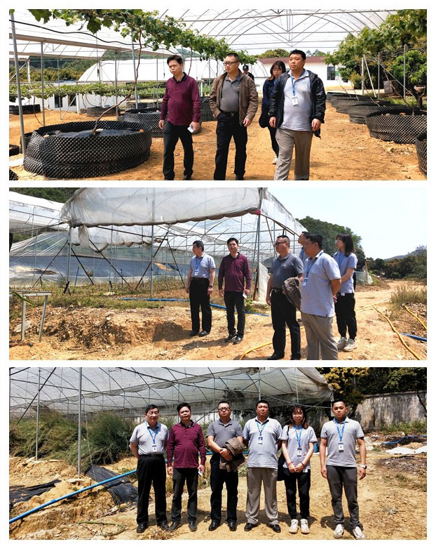 鉴黑担保网(jhdbw)·最具权威唯一维权担保平台