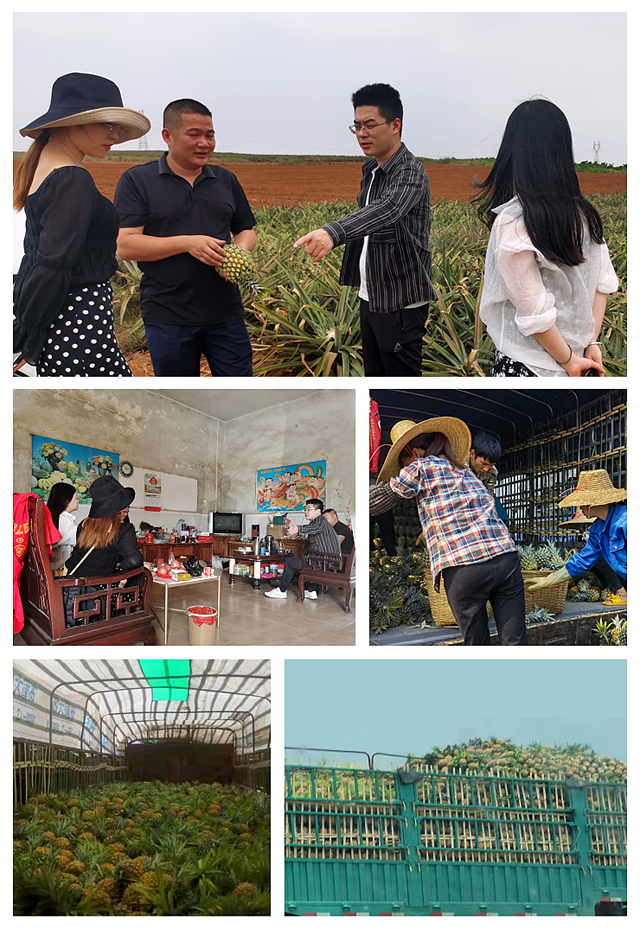 鉴黑担保网(jhdbw)·最具权威唯一维权担保平台