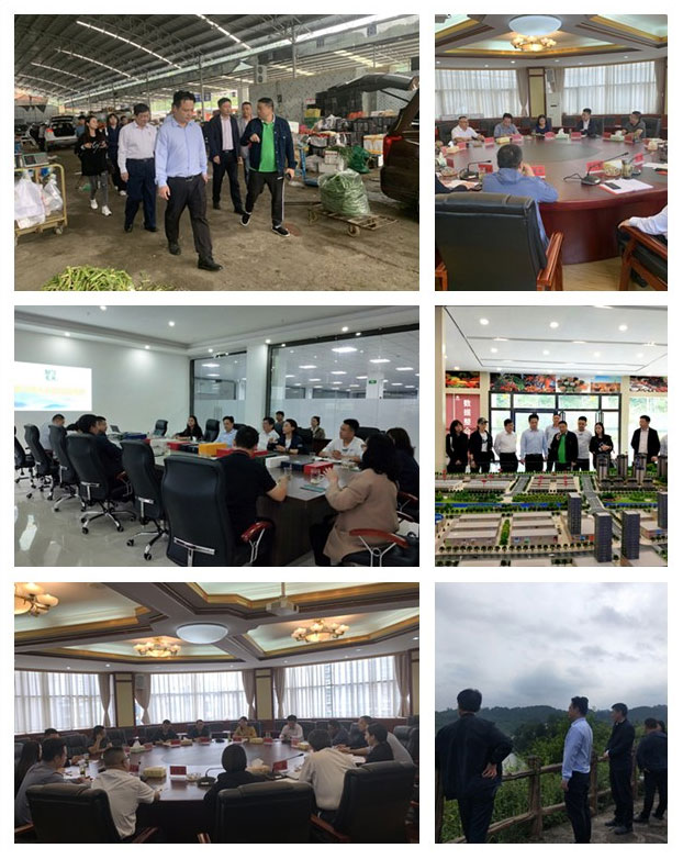 鉴黑担保网(jhdbw)·最具权威唯一维权担保平台