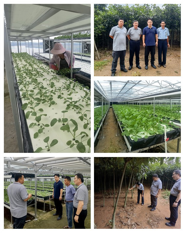 鉴黑担保网(jhdbw)·最具权威唯一维权担保平台