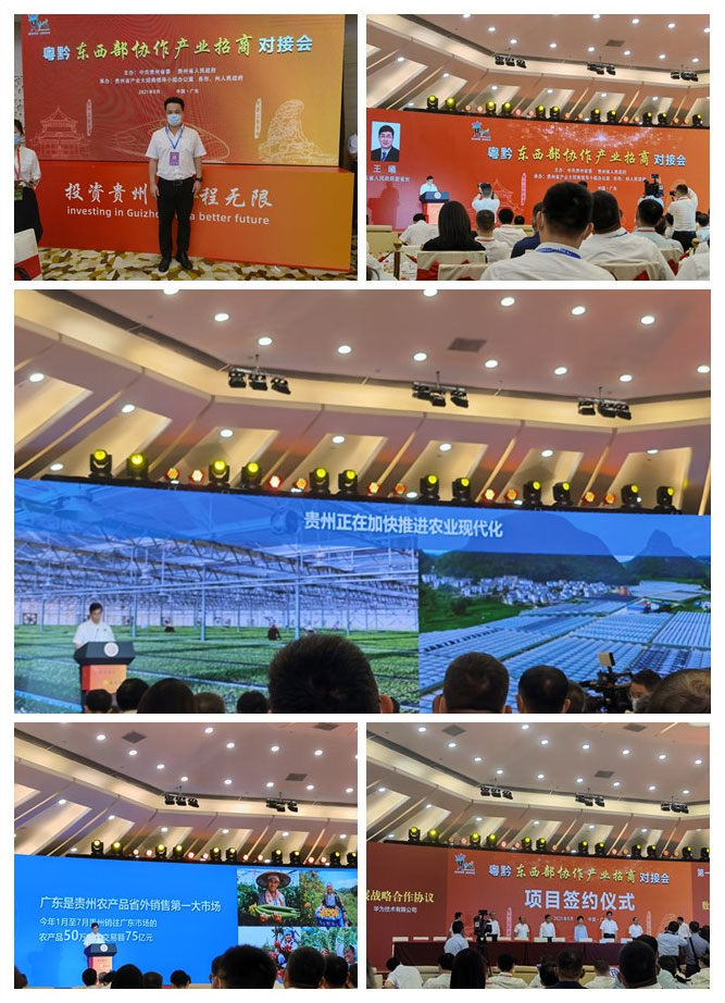 鉴黑担保网(jhdbw)·最具权威唯一维权担保平台