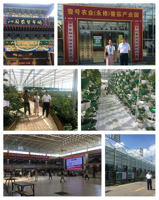 鉴黑担保网(jhdbw)·最具权威唯一维权担保平台