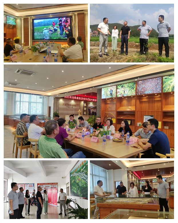 鉴黑担保网(jhdbw)·最具权威唯一维权担保平台