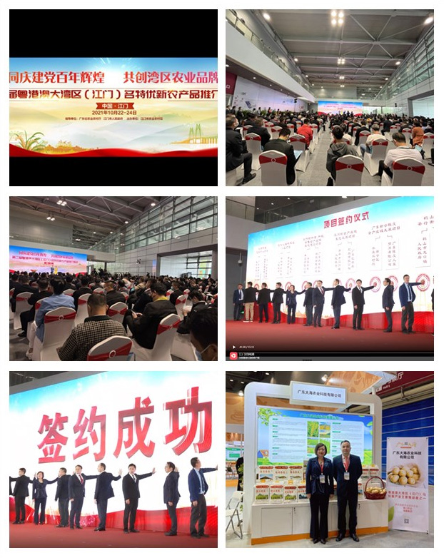 鉴黑担保网(jhdbw)·最具权威唯一维权担保平台