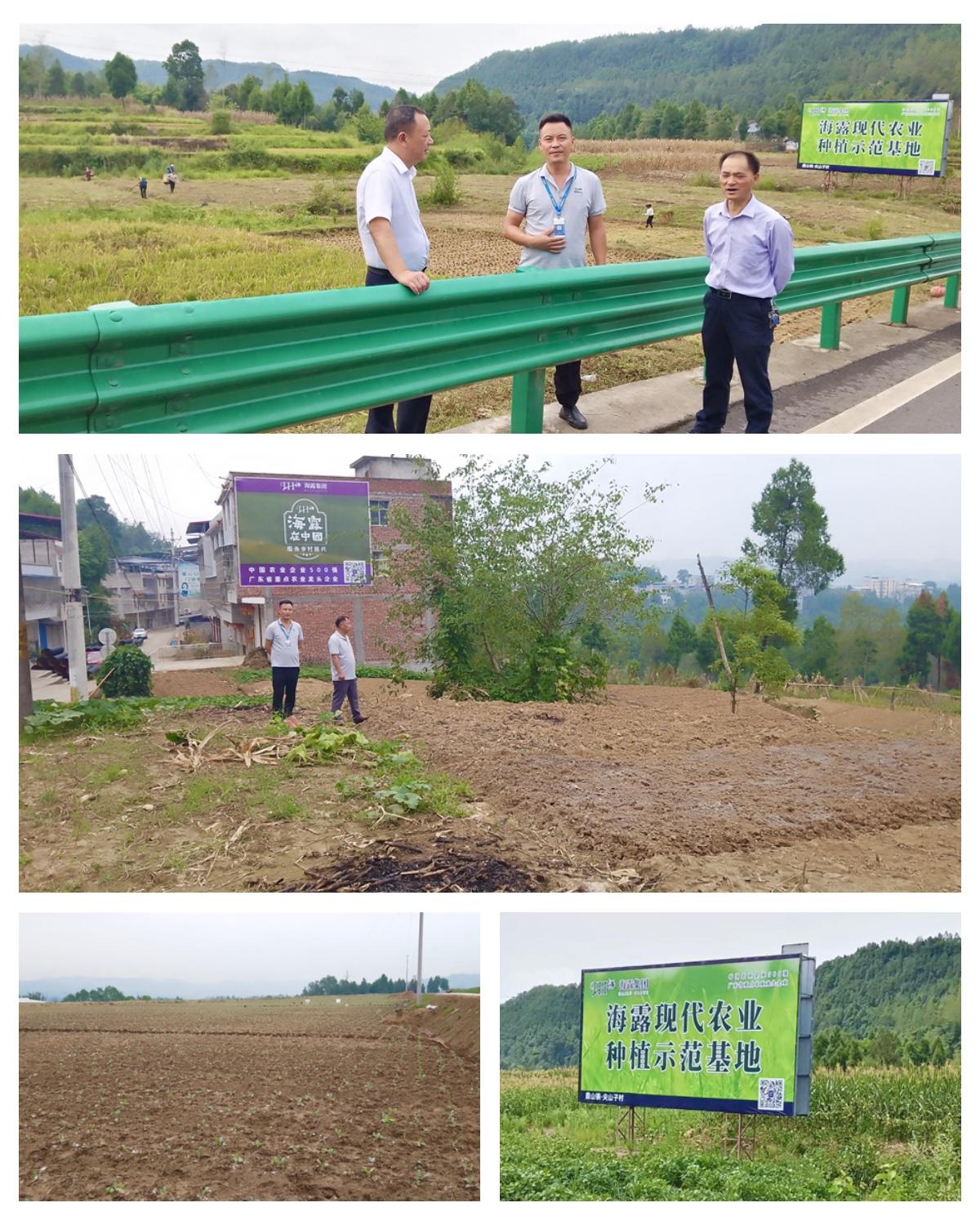 鉴黑担保网(jhdbw)·最具权威唯一维权担保平台