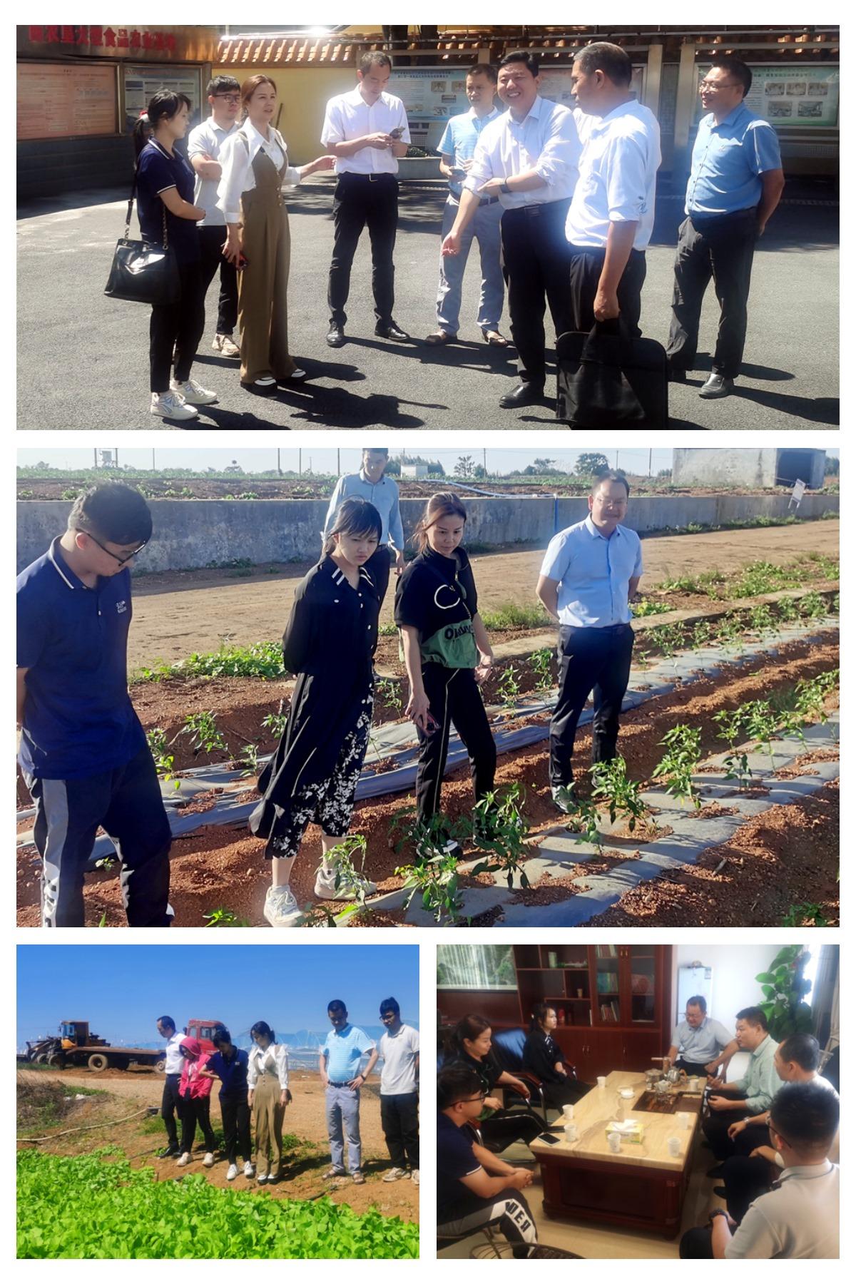 鉴黑担保网(jhdbw)·最具权威唯一维权担保平台