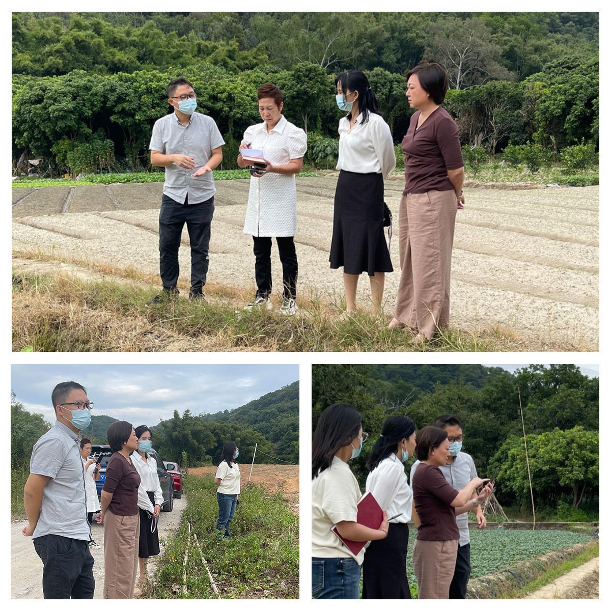 鉴黑担保网(jhdbw)·最具权威唯一维权担保平台