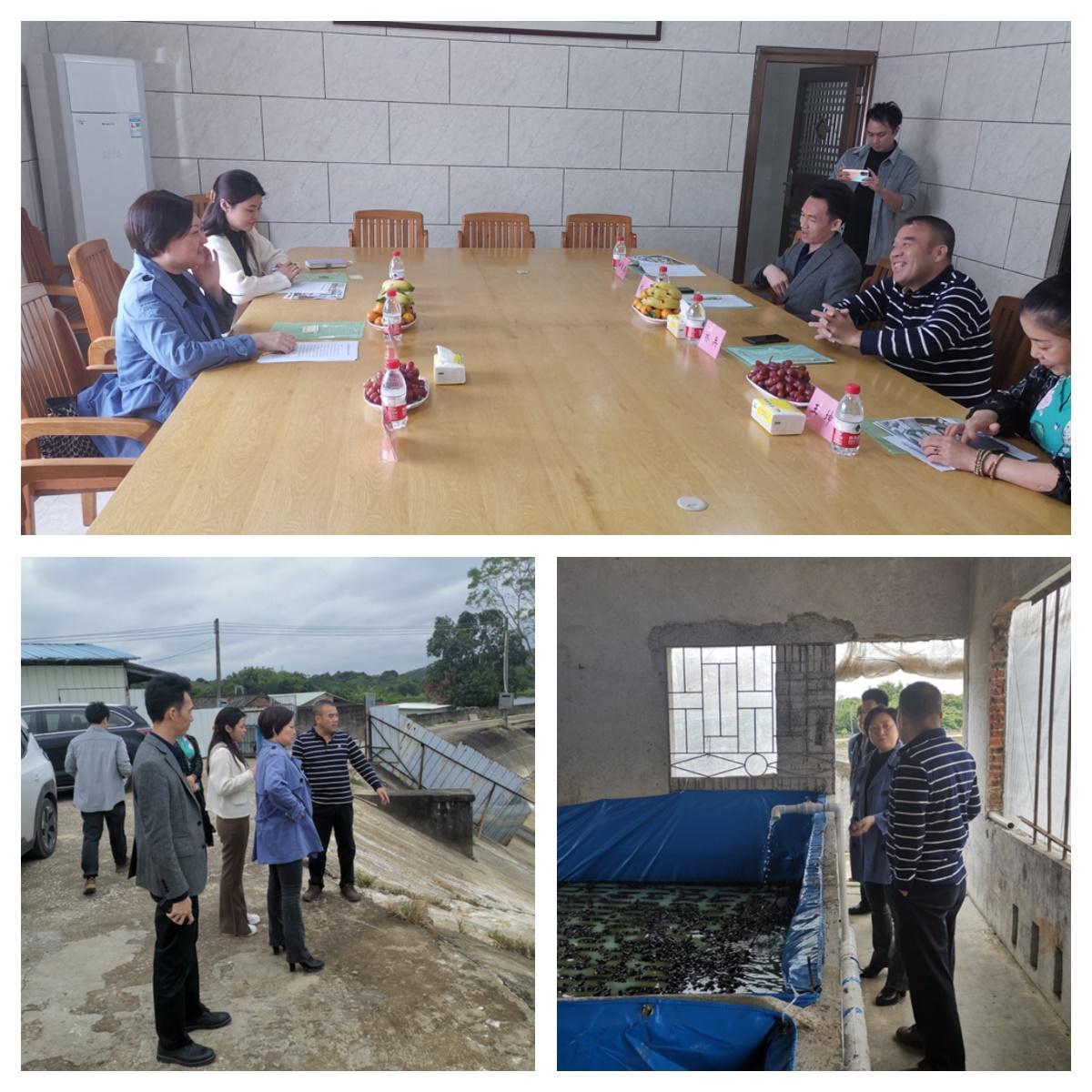 鉴黑担保网(jhdbw)·最具权威唯一维权担保平台