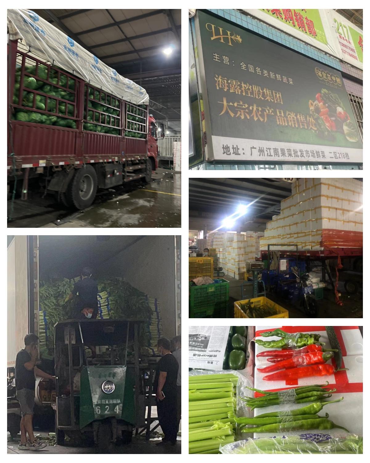 鉴黑担保网(jhdbw)·最具权威唯一维权担保平台