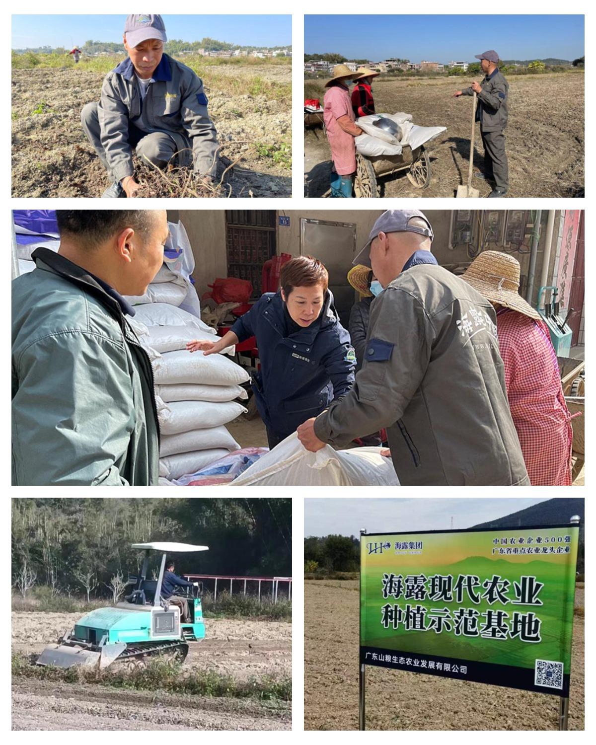 鉴黑担保网(jhdbw)·最具权威唯一维权担保平台