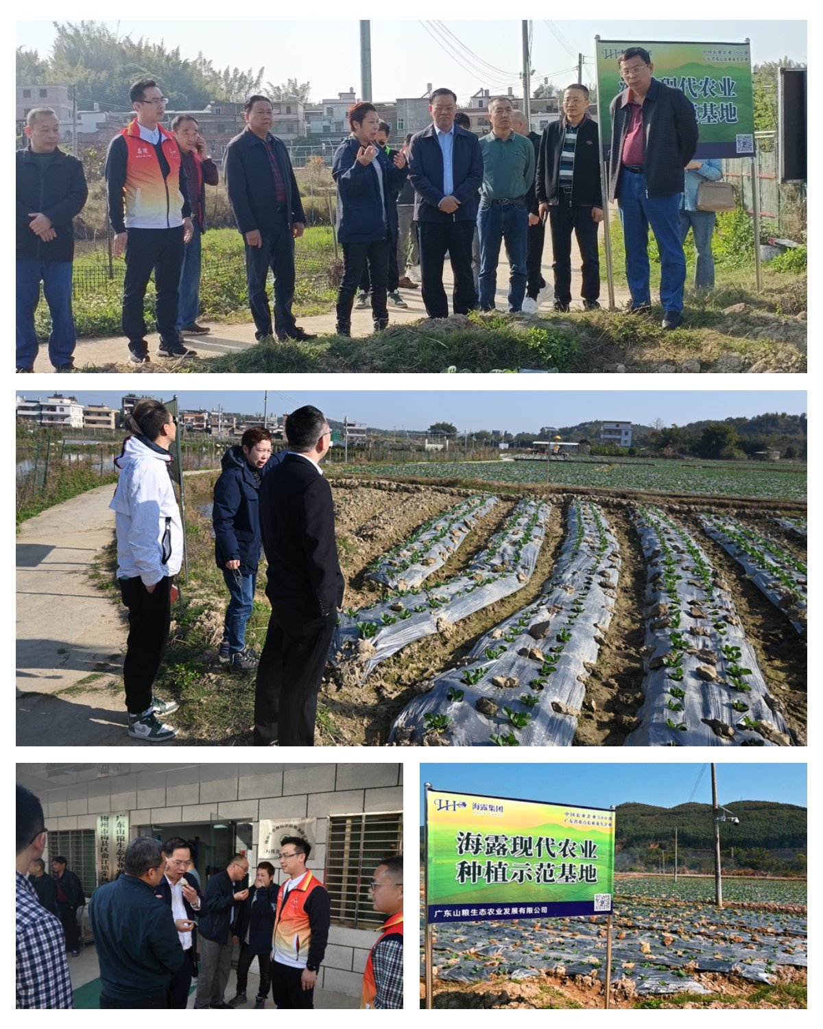 鉴黑担保网(jhdbw)·最具权威唯一维权担保平台