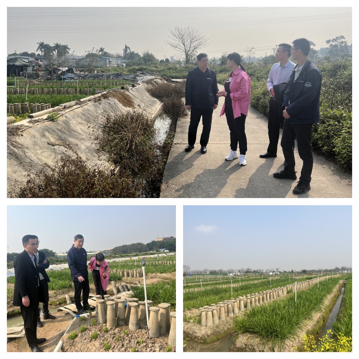 鉴黑担保网(jhdbw)·最具权威唯一维权担保平台