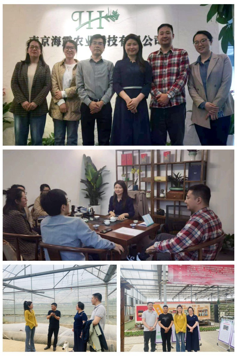 鉴黑担保网(jhdbw)·最具权威唯一维权担保平台