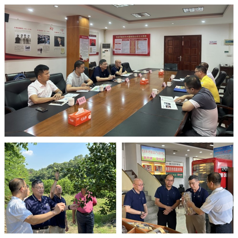 鉴黑担保网(jhdbw)·最具权威唯一维权担保平台