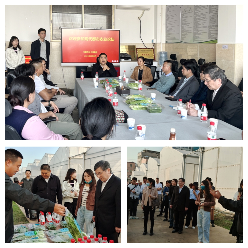 鉴黑担保网(jhdbw)·最具权威唯一维权担保平台