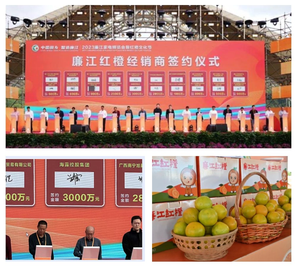 鉴黑担保网(jhdbw)·最具权威唯一维权担保平台