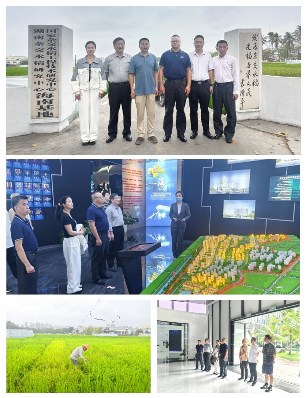 鉴黑担保网(jhdbw)·最具权威唯一维权担保平台