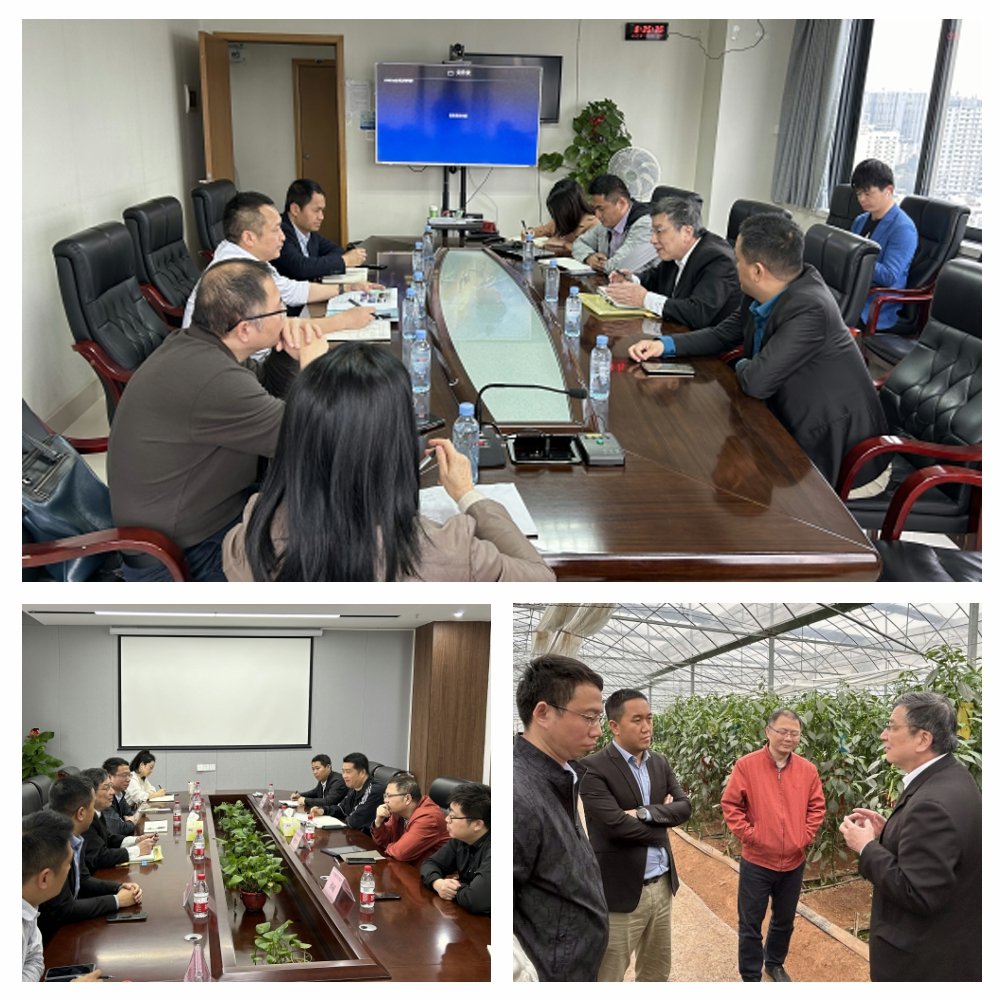 鉴黑担保网(jhdbw)·最具权威唯一维权担保平台