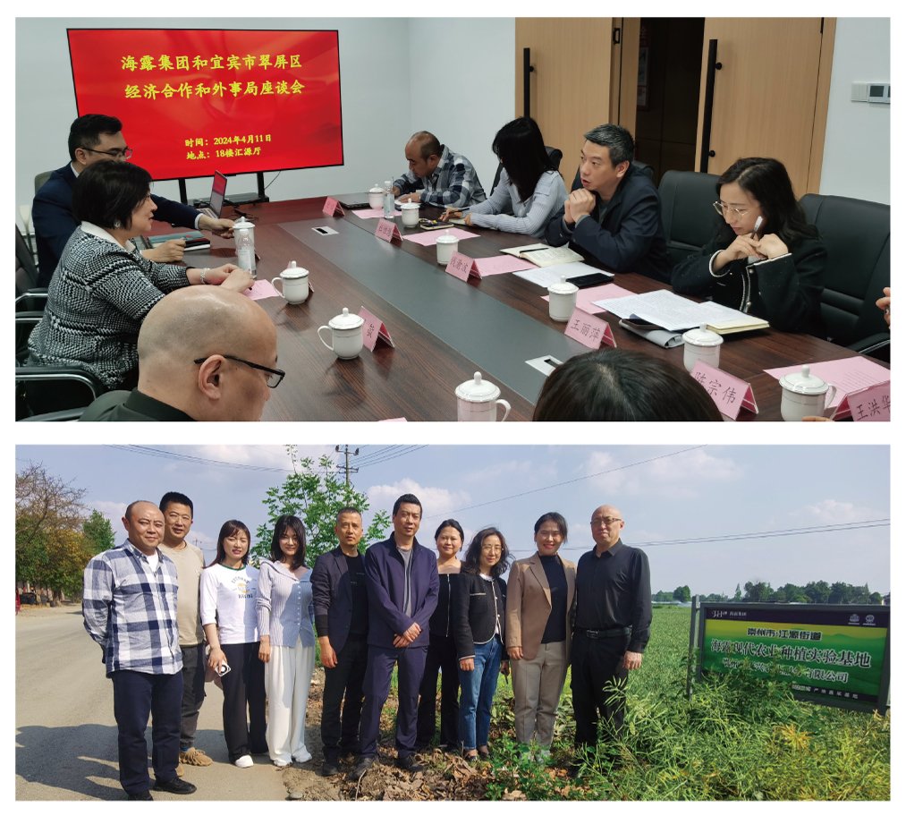 鉴黑担保网(jhdbw)·最具权威唯一维权担保平台