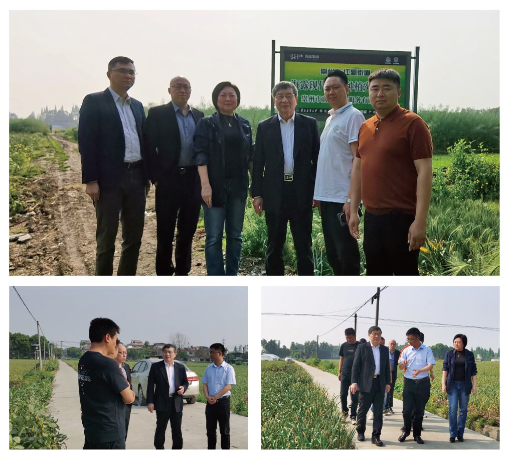 鉴黑担保网(jhdbw)·最具权威唯一维权担保平台