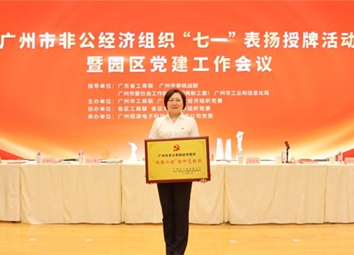标杆引领，荣誉升级！集团党支部荣膺广州市非公有造经济组织“双强六好”标