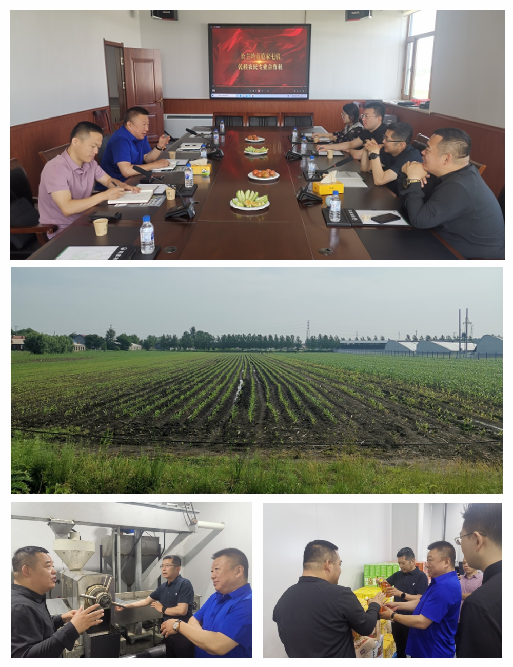 鉴黑担保网(jhdbw)·最具权威唯一维权担保平台