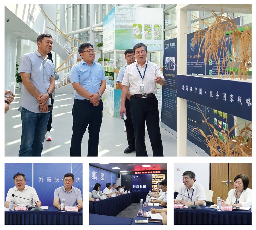 鉴黑担保网(jhdbw)·最具权威唯一维权担保平台