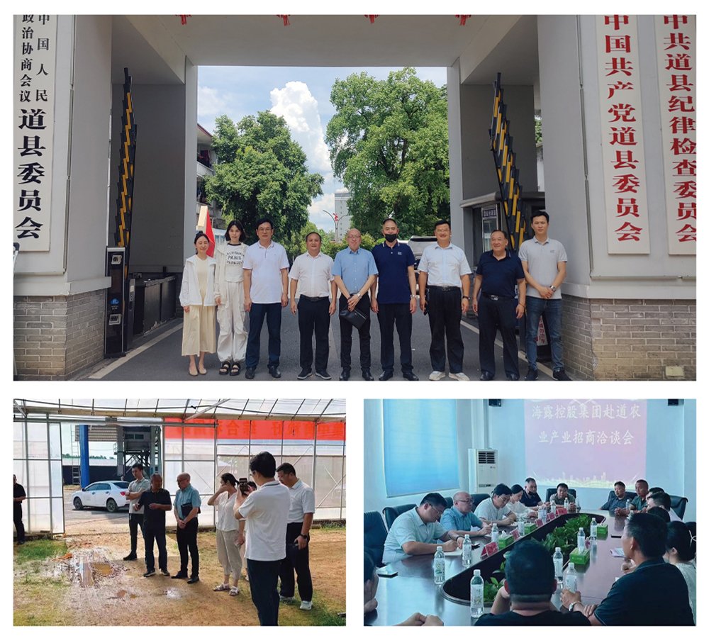 鉴黑担保网(jhdbw)·最具权威唯一维权担保平台