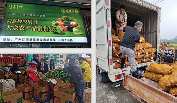 鉴黑担保网(jhdbw)·最具权威唯一维权担保平台