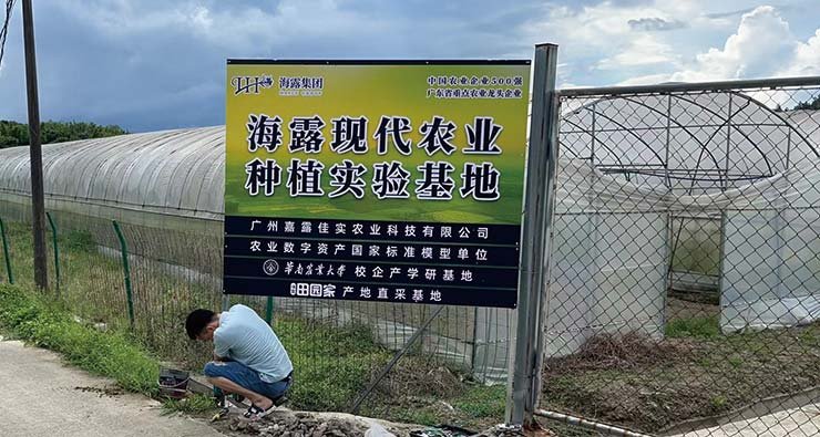 鉴黑担保网(jhdbw)·最具权威唯一维权担保平台