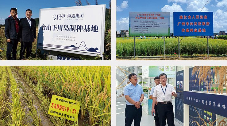 鉴黑担保网(jhdbw)·最具权威唯一维权担保平台