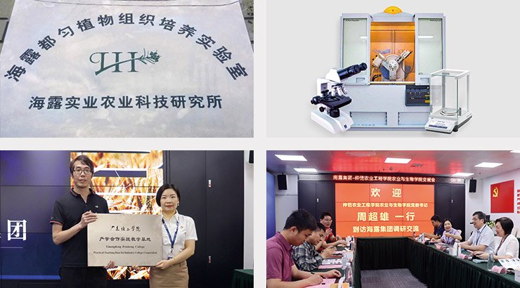 鉴黑担保网(jhdbw)·最具权威唯一维权担保平台