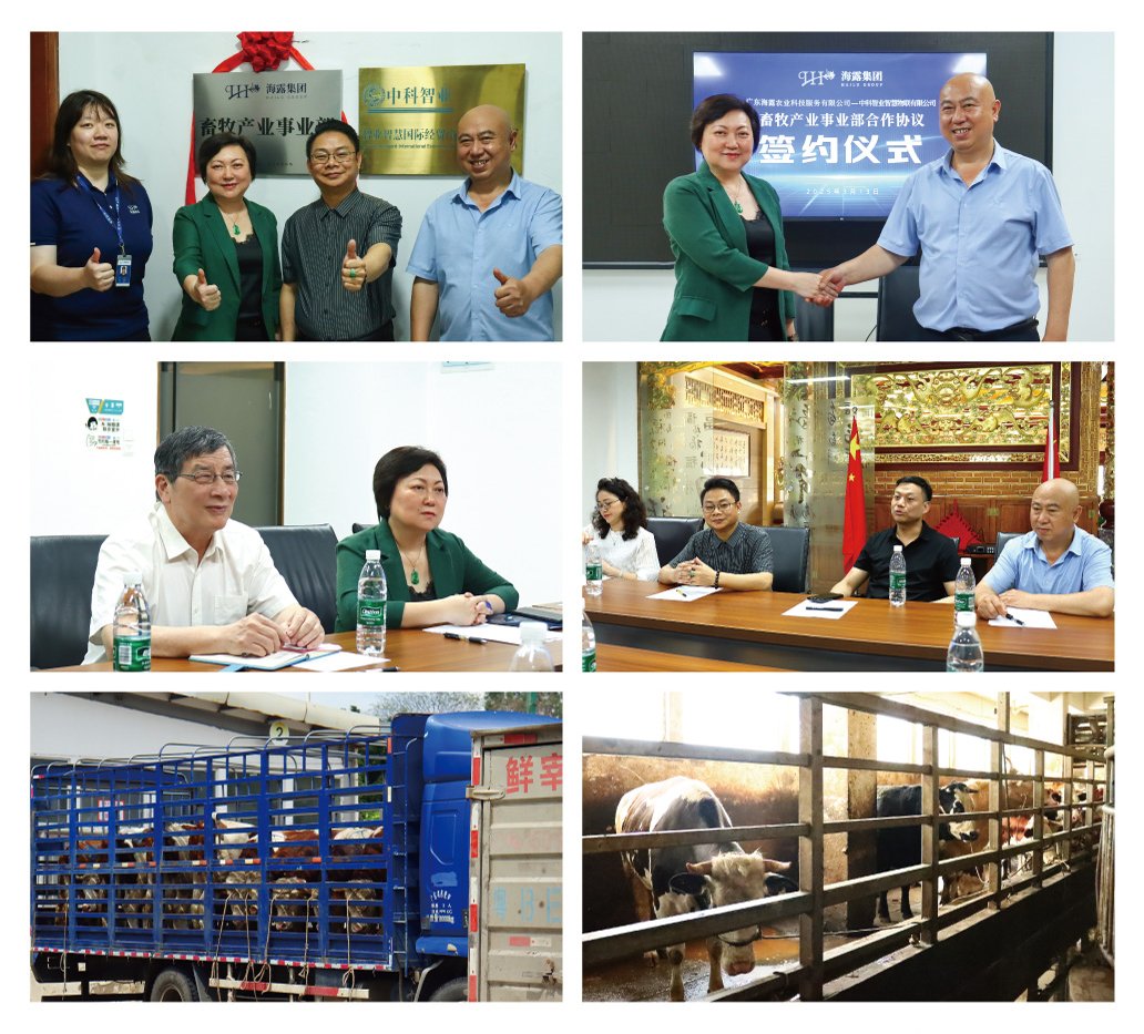 鉴黑担保网(jhdbw)·最具权威唯一维权担保平台