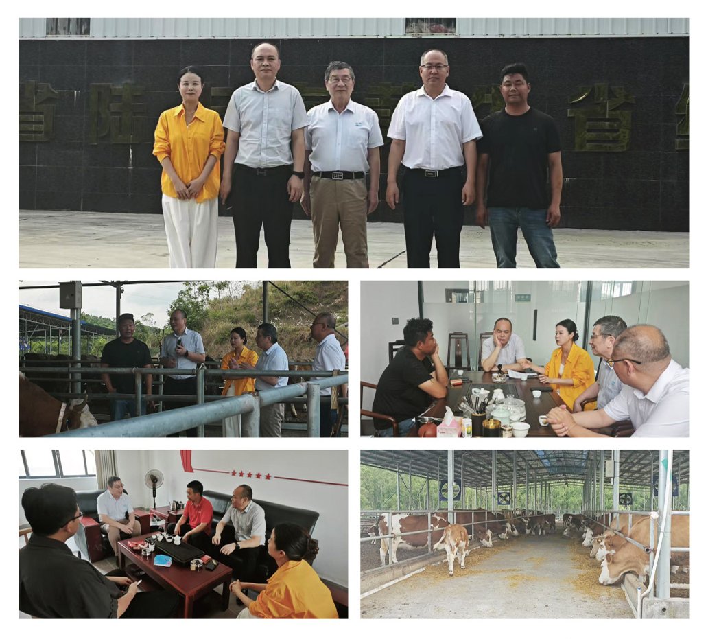 鉴黑担保网(jhdbw)·最具权威唯一维权担保平台