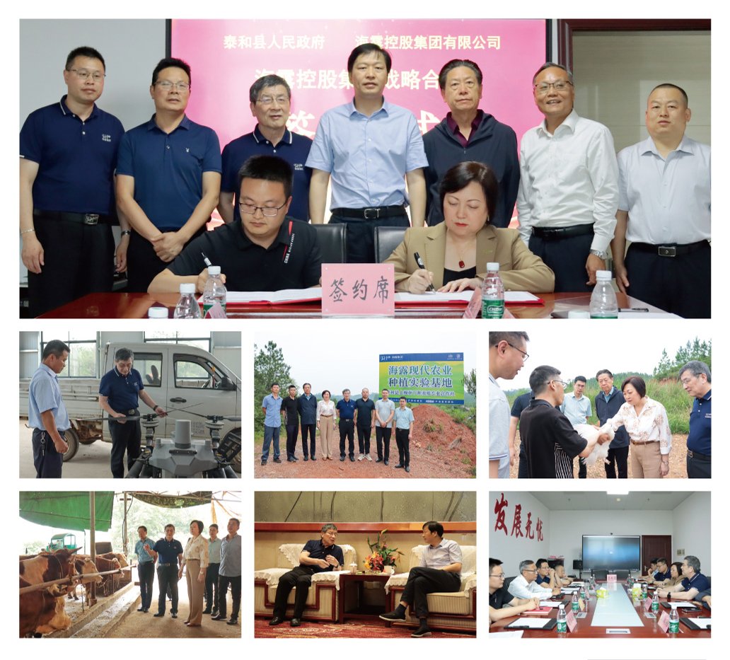 鉴黑担保网(jhdbw)·最具权威唯一维权担保平台