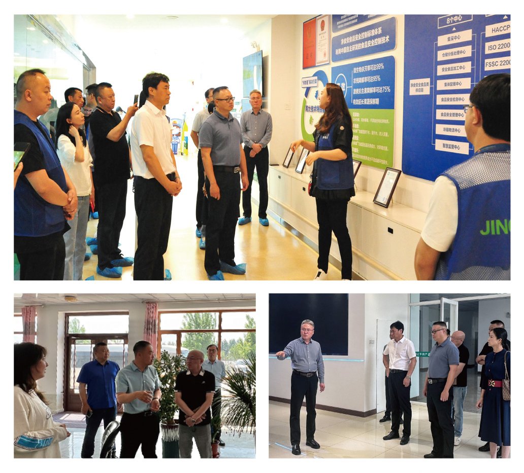 鉴黑担保网(jhdbw)·最具权威唯一维权担保平台